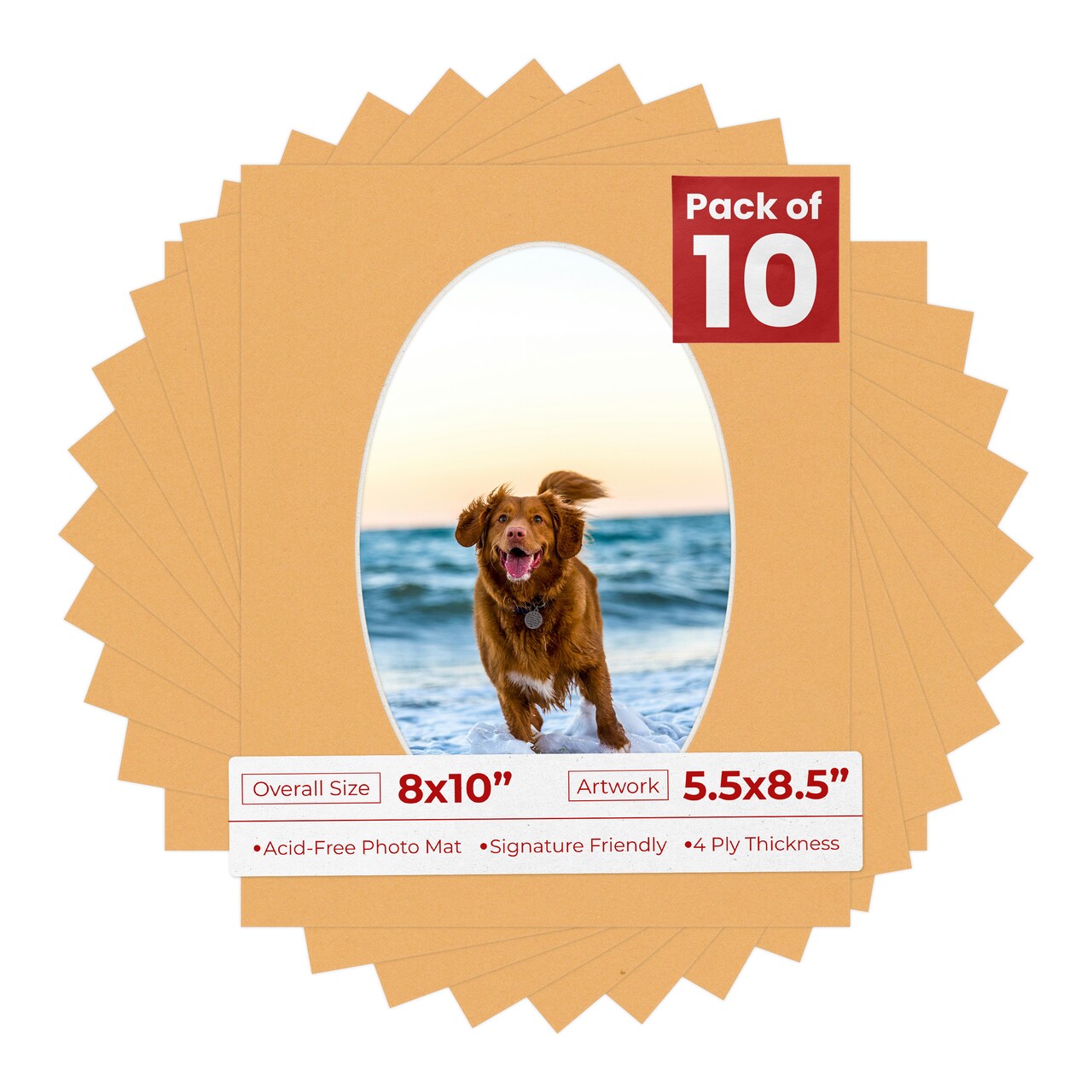 Topaz Orange Mat Board for 8x10 Frames - Oval Opening for 5.5x8.5 Photos